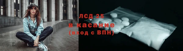 прущие грибы Алзамай