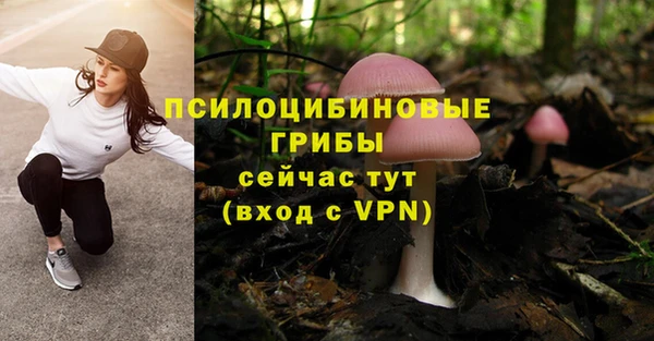 прущие грибы Алексеевка