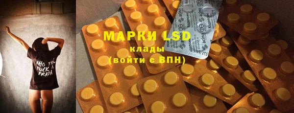 прущие грибы Алзамай