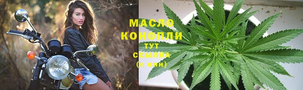 прущие грибы Алзамай