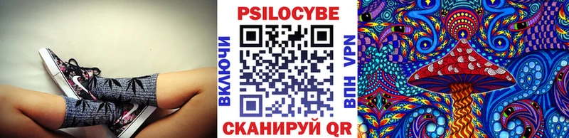 Псилоцибиновые грибы Psilocybe магазин Пермь