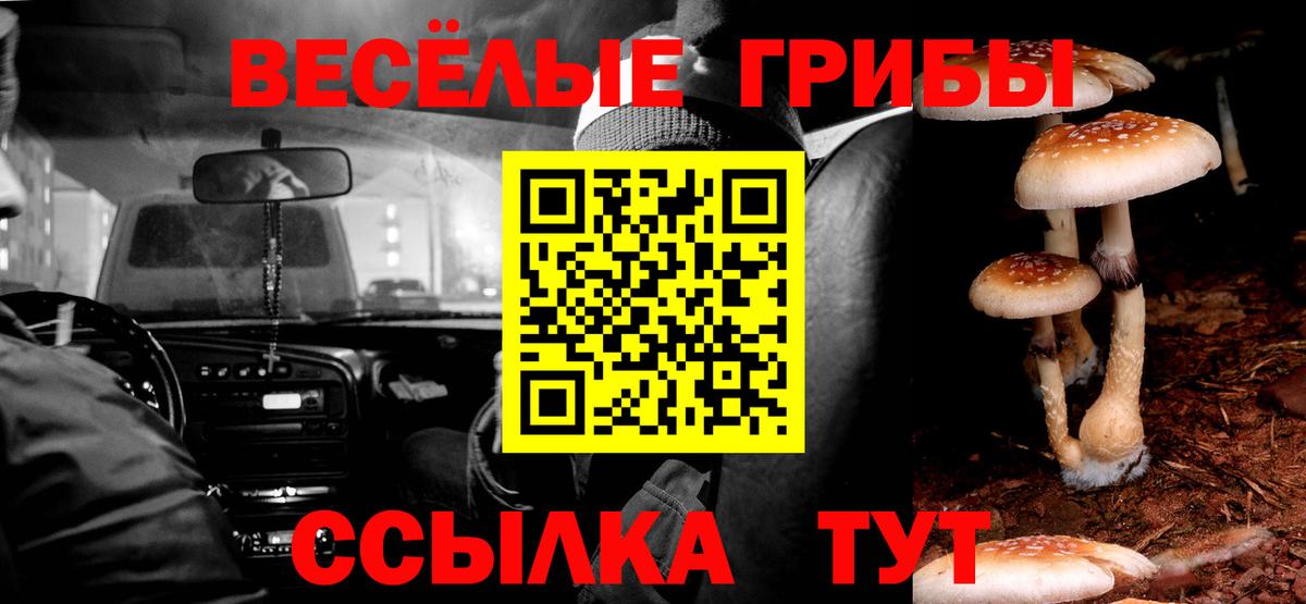 Пермь  Псилоцибиновые грибы мицелий  Вход с VPN  Галлюциногенные грибы ЛСД 